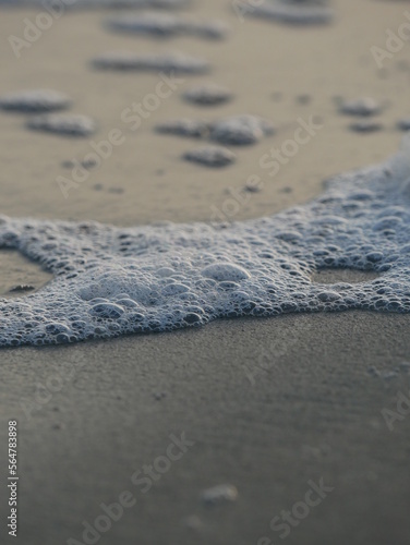 Sea Foam North Carolina
