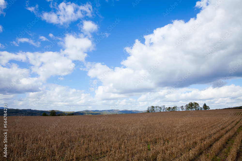 Autumn field with sky and clouds
