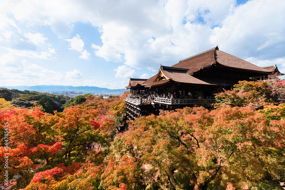 紅葉の古都京都 国宝の清水寺本堂清水の舞台 紅葉の古都京都 国宝の清水寺本堂清水の舞台