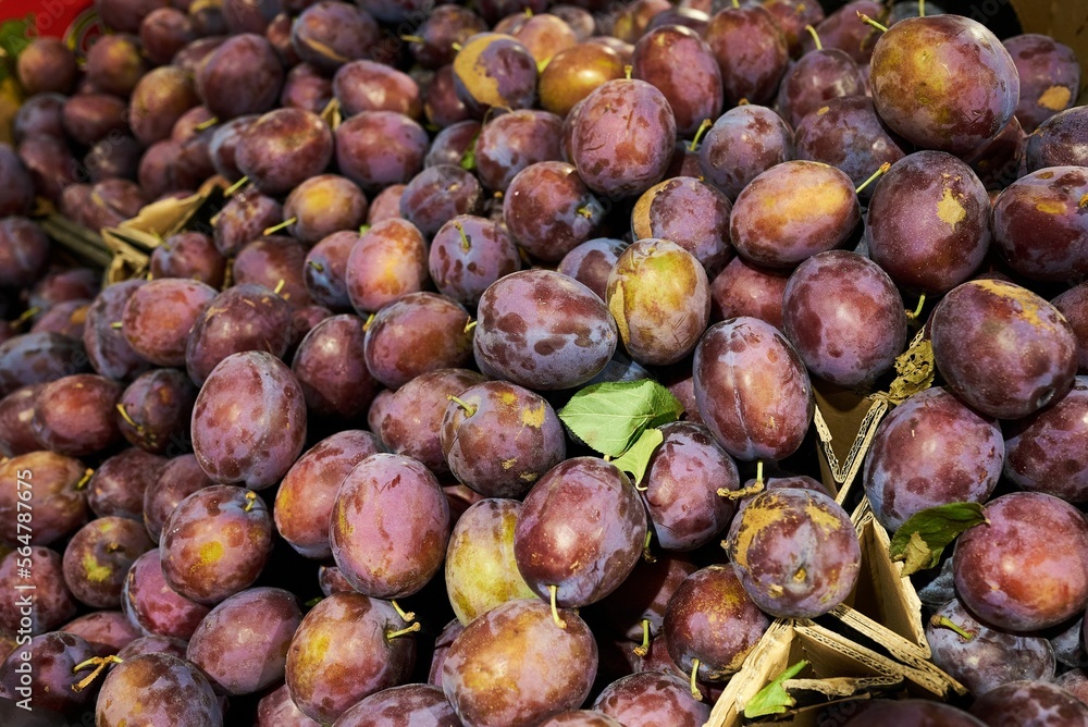 Lots of purple, organic plums at the stall