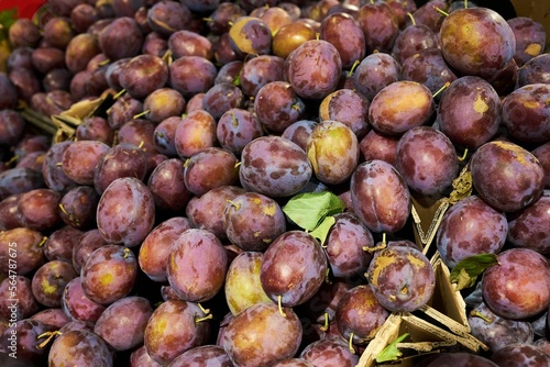 Obraz na płótnie Lots of purple, organic plums at the stall w salonie