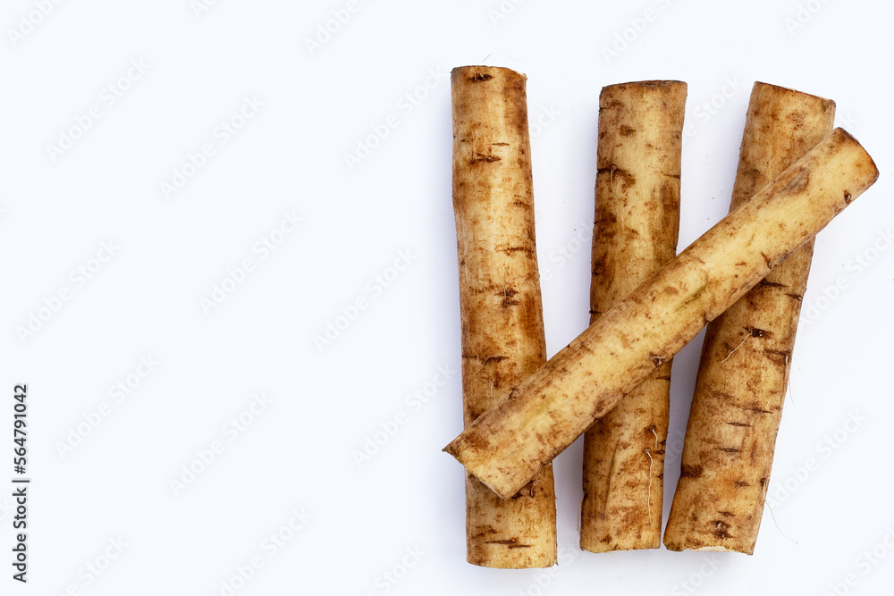 Burdock Root (Gobo) on white background. Burdock Root (Gobo) on white background.