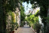 Pittoresque rue des Thermopyles dans la ville de Paris, ruelle pavée végétalisée, avec de nombreuses plantes vertes devant les façades des maisons (France)