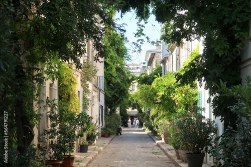 Pittoresque rue des Thermopyles dans la ville de Paris, ruelle pavée végétalisée, avec de nombreuses plantes vertes devant les façades des maisons (France) photo