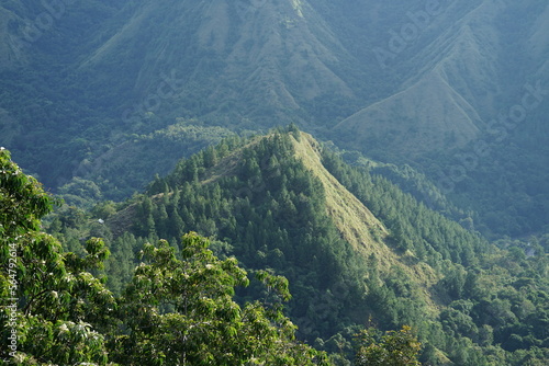 Indonesian natural atmosphere on the mountain with green trees