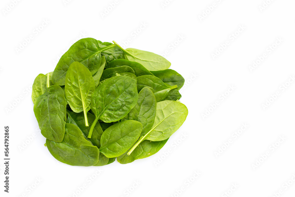 Spinach leaves on white background. Spinach leaves on white background.
