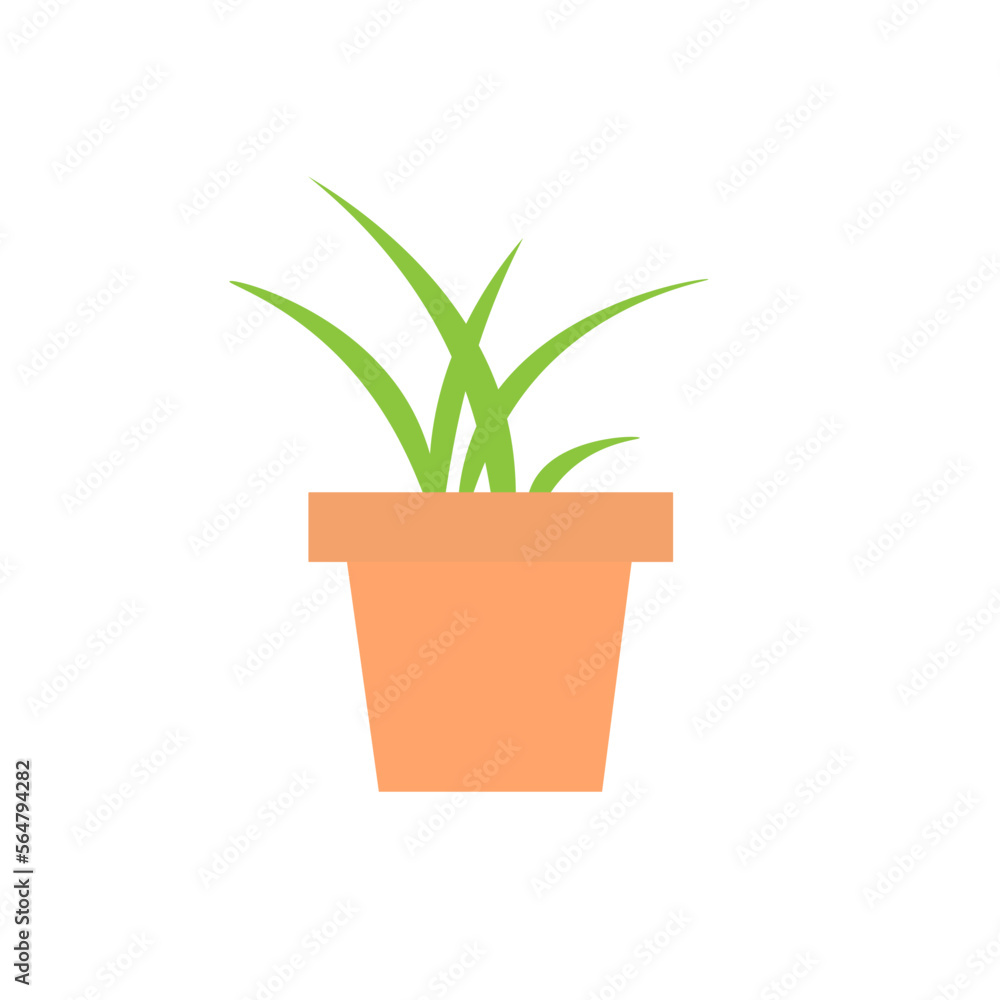 potted plant on a white background, vector image potted plant on a white background, vector image