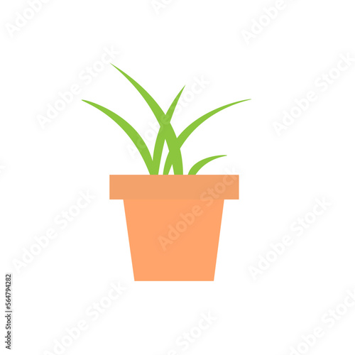 potted plant on a white background, vector image