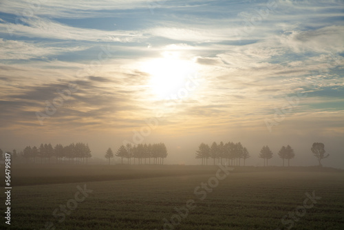 Countryside smoldering in the morning mist