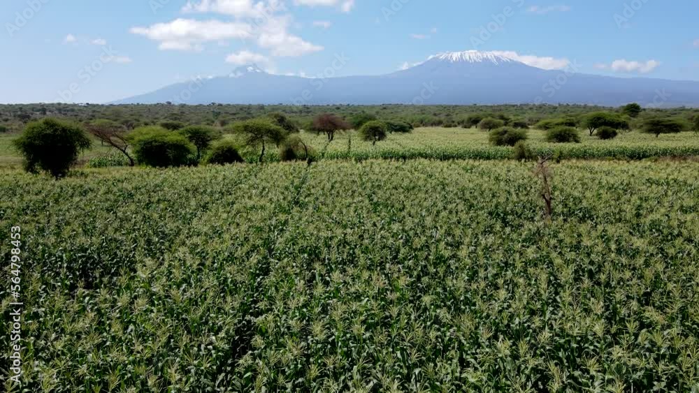 Drone flying in farms in kilimanjaro slopes- Green Kenya farms, poor settlement africa aerial agronomic plantation. Drone flying in farms in kilimanjaro slopes- Green Kenya farms, poor settlement africa aerial agronomic plantation.