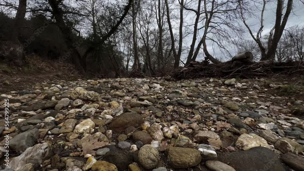 River Stones, Dried Up Riverbed Winter Landscape River Stones, Dried Up Riverbed Winter Landscape