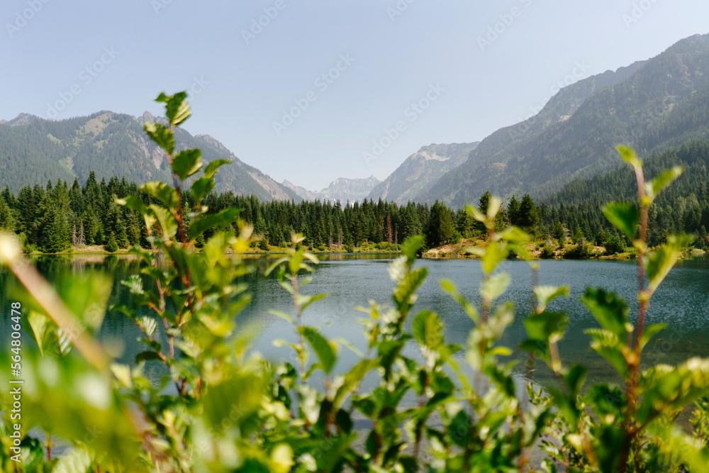 View of Gold Creek Pond in Snoqualmie, Washington View of Gold Creek Pond in Snoqualmie, Washington
