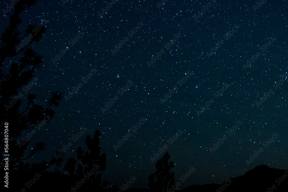 Naklejka premium On January 22, 2023 the rare green comet C/2022 E3 (ZTF) appeared with the antitail visible. This image was taken 01/22/2023 at 10:23:34 PM PST (UTC-8) near Ashland Oregon.