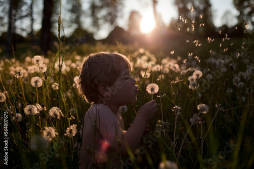 child in the meadow