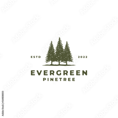 Spruce tree vintage logo, evergreen fir vector illustration design