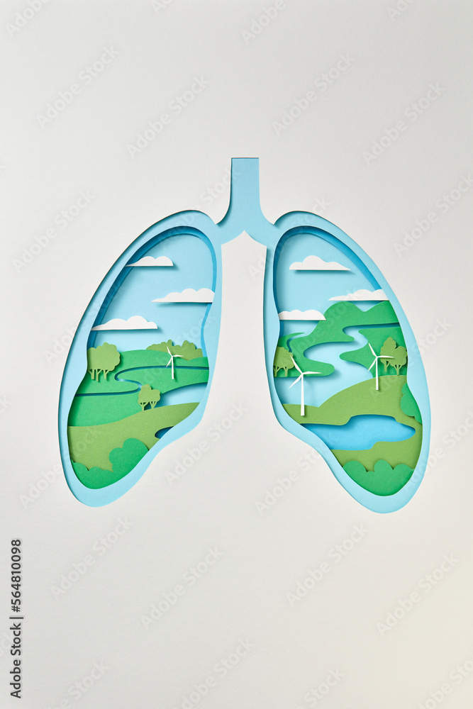Layered paper lungs with green landscape. Layered paper lungs with green landscape.