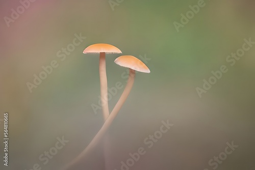 Soft colors orange mushrooms on neutral background, generative ai illustration with copy space
