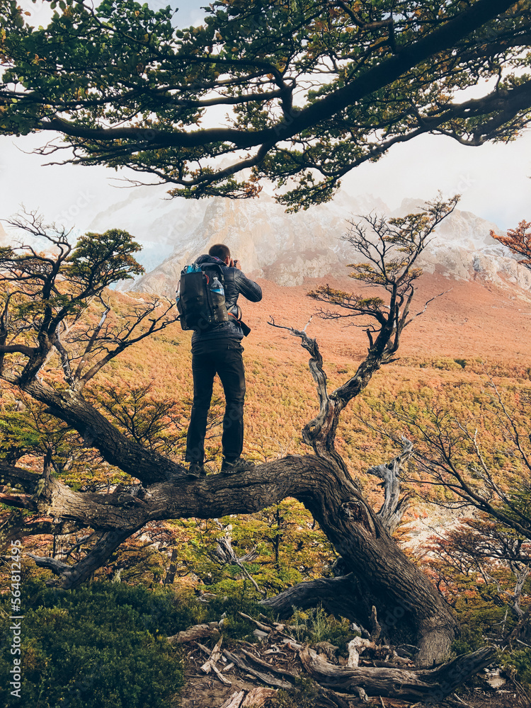 backpacker person in the forest backpacker person in the forest