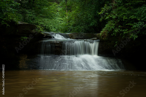 waterfall in the forest © Noreen Brown