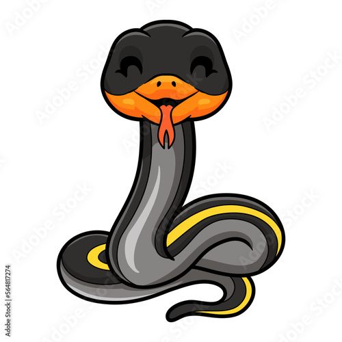 Cute black copper rat snake cartoon