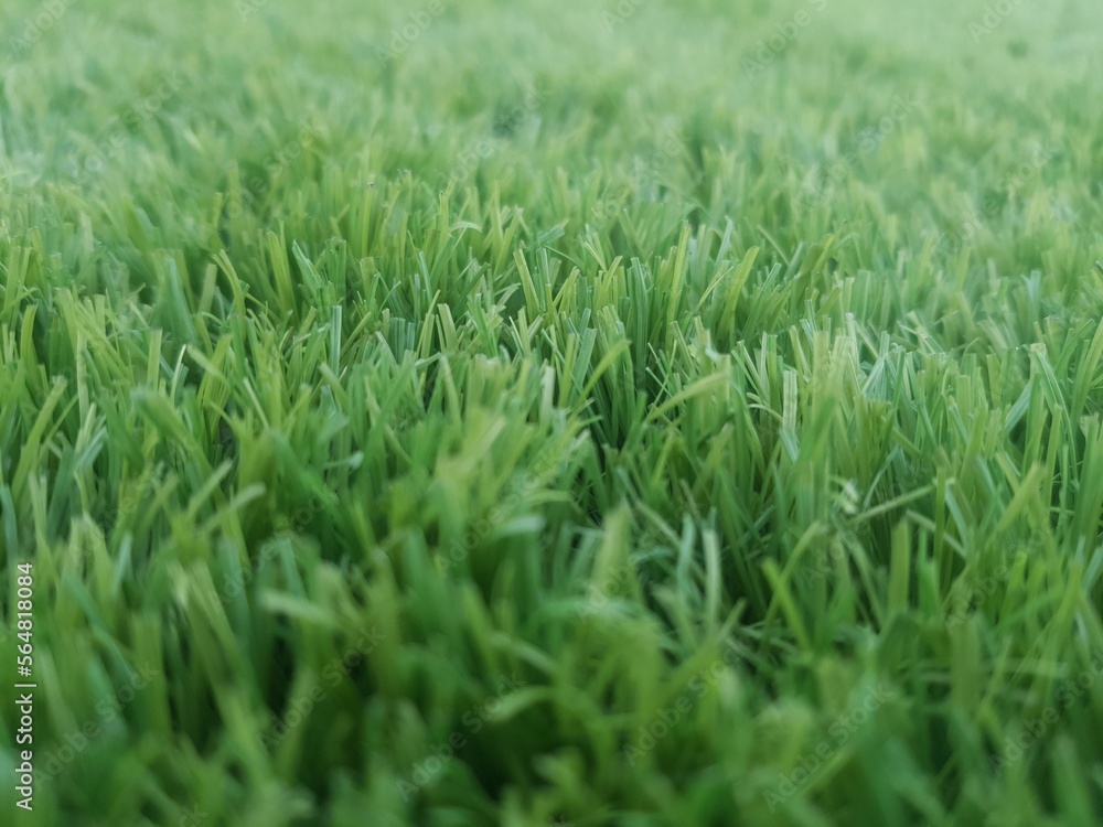 green grass background for decorating wallpaper