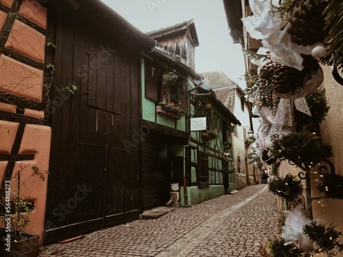 Alsace region decorated for christmas photo