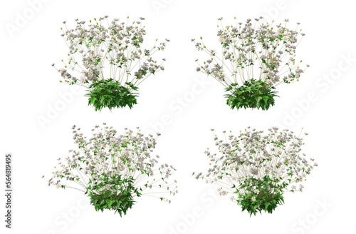 3D render a variety of plants and flowers.
