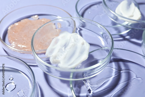 Many petri dishes with samples on lilac background, closeup