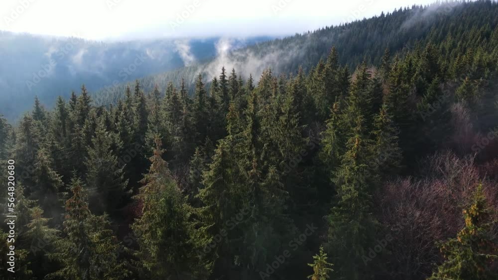 mountains flying drone fog haze clouds movement coniferous forest mountains flying drone fog haze clouds movement coniferous forest