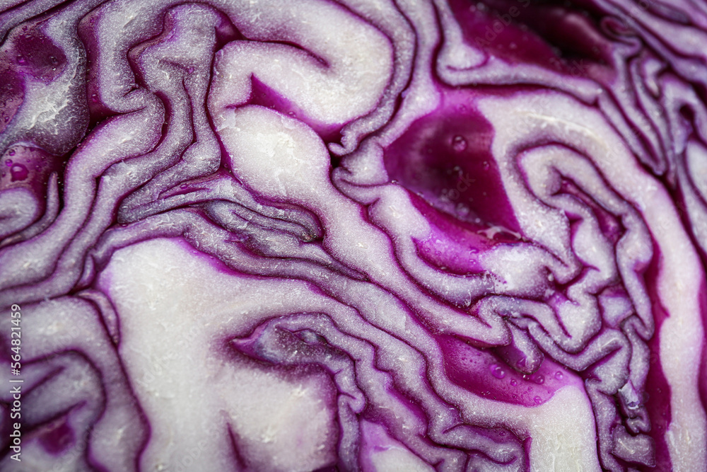 Obraz premium Half of fresh red cabbage as background, closeup