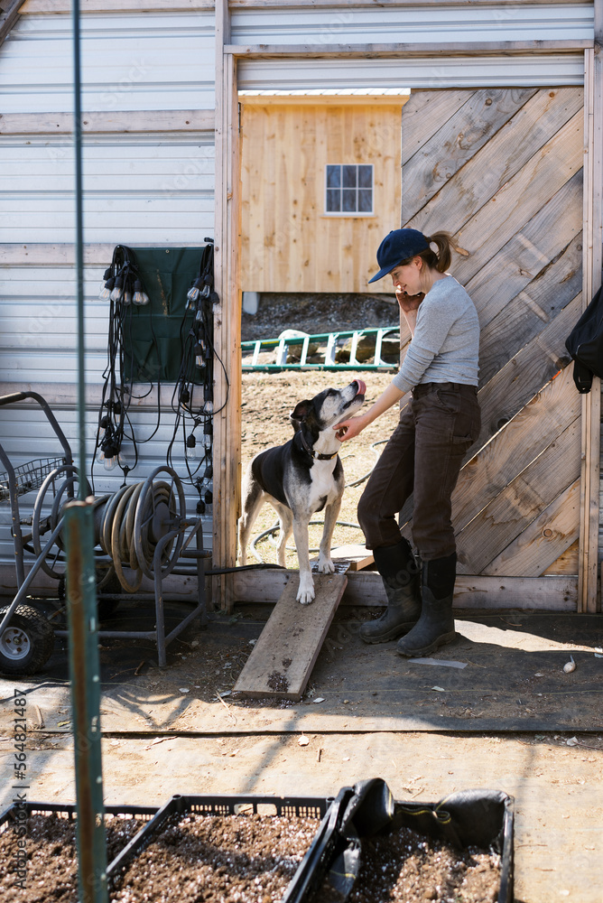 business owner standing with dog inside greenhouse having a phone call business owner standing with dog inside greenhouse having a phone call