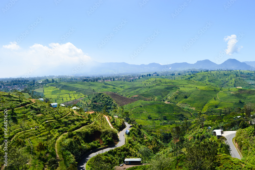 Cukul Sunrise Point, Bandung, Indonesia - August 08, 2022: Views Of The Tea Gardens At Pangalengan. With Selected Focus.