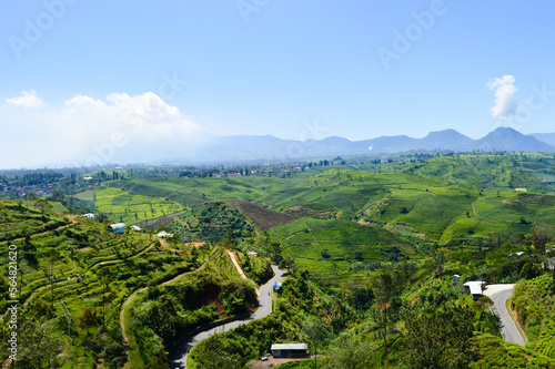Cukul Sunrise Point, Bandung, Indonesia - August 08, 2022: Views Of The Tea Gardens At Pangalengan. With Selected Focus. photo
