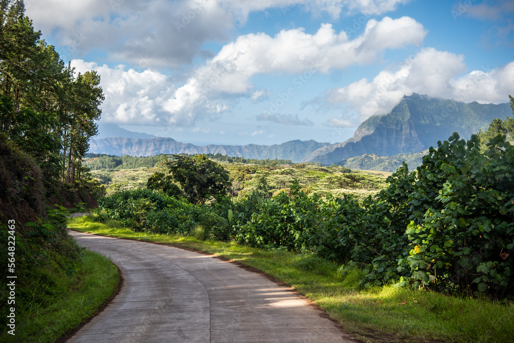 A road in the middle of mountains in Hiva Oa, Marquesas Islands, French Polynesia.