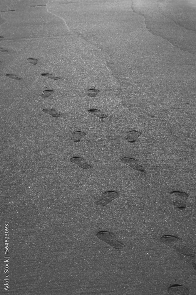 the footprints left on the sandy beach where the sun was shining the footprints left on the sandy beach where the sun was shining