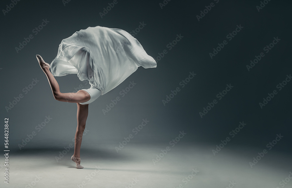 Fototapeta premium young ballerina girl on a white background