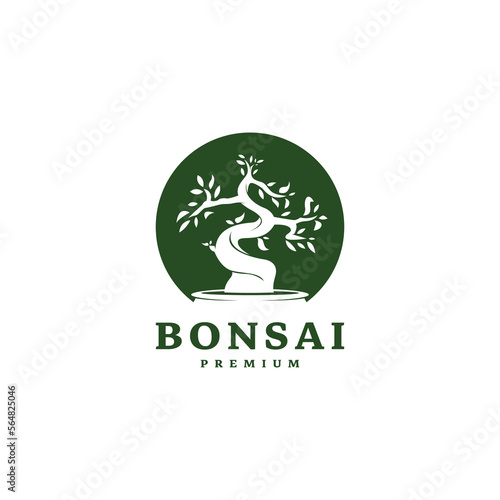 mini small plant on pot for japanese bonsai logo design 2