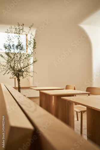 Potted tree on wooden bench in restaurant