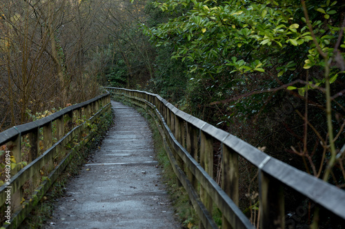 Pathway through forest in Skipton, England