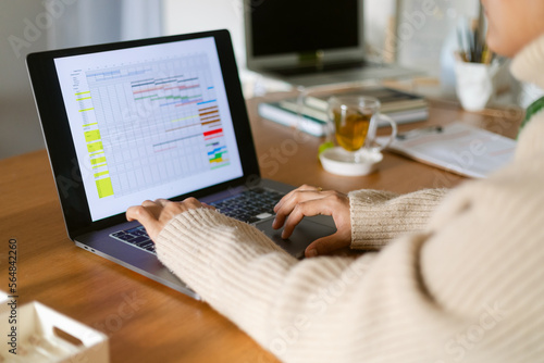 Business woman organizing database on laptop