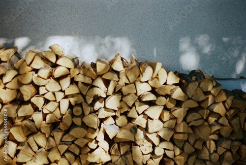 Woodpile photo