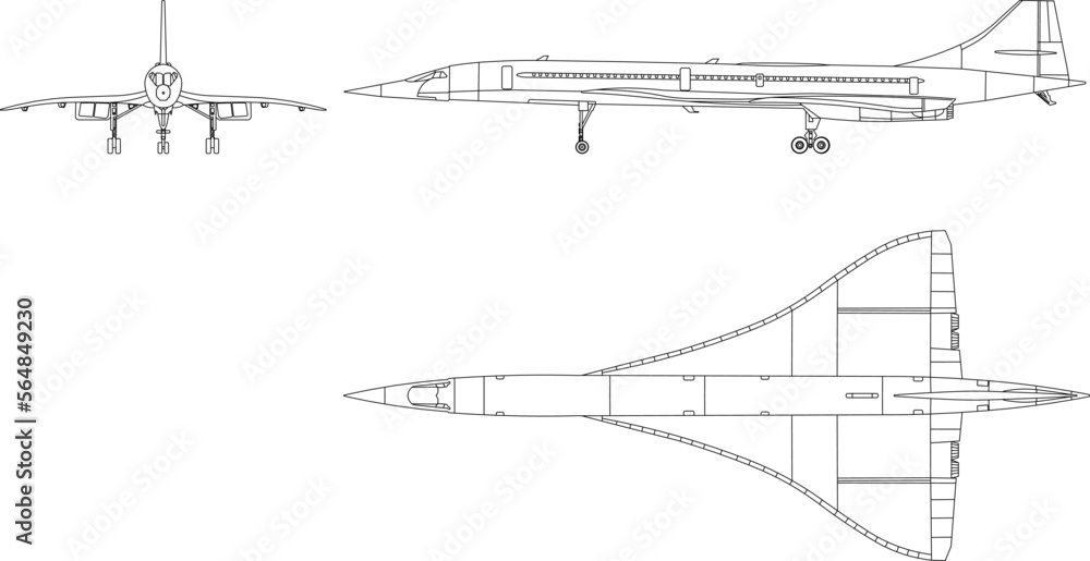 women's concord sketch