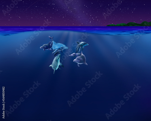 School of dolphins at Night, half underwater illustration