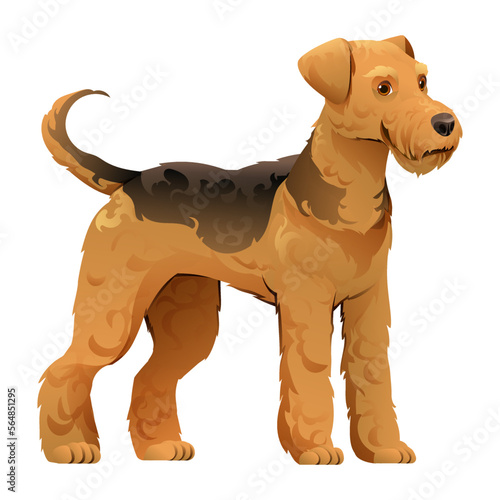 Airedale terrier dog vector cartoon illustration