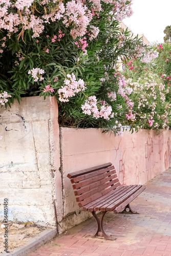 View of shrubs with flowers...
