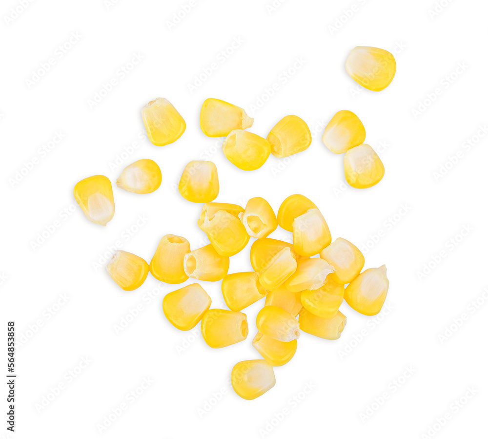 Corn seeds isolated on white background. Top view Corn seeds isolated on white background. Top view