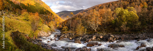 Erdalselvi River Autumn Aurlandsfjellet Vestland Norway