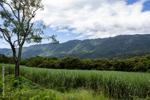 Sierra Madre Oriental photo