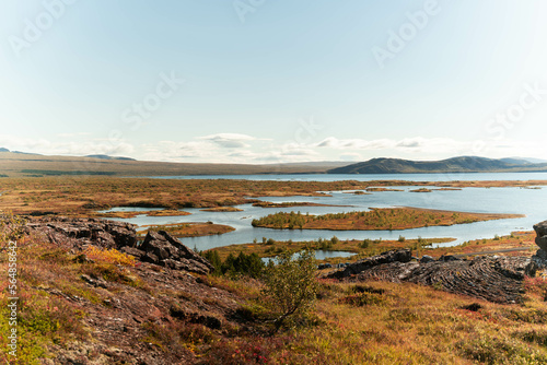 river, rocky canyon, autumn trees on mountain landscape in Iceland