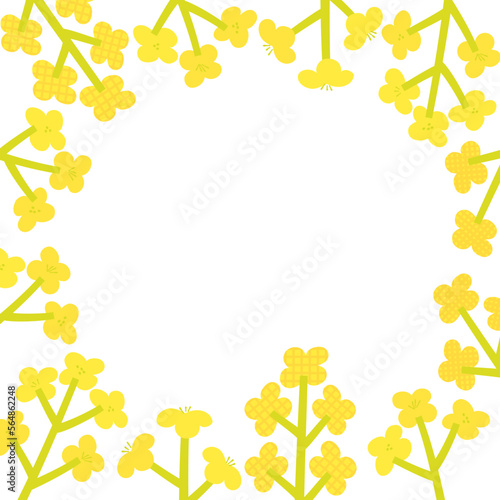 Canola flowers frame illustration, Vector hand drawn illustration